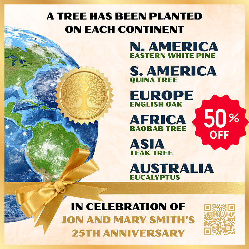 All-6 Digital Certificate